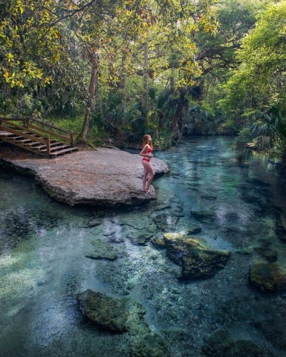 Ecosistema natural de villavicencio